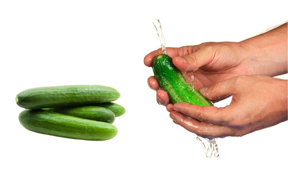 How to Store Cucumbers in the Fridge for Lasting Freshness & Crispness 1