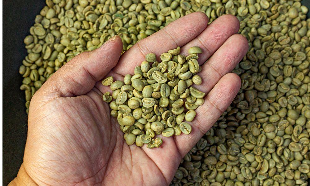 The Stunning Transformation: Exploring the Journey from Green Beans to Coffee Black Color