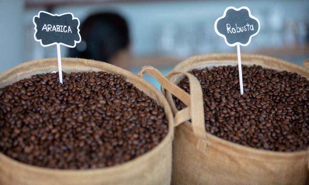 Arabica Coffee Decoded: Your Guide to Types, Origins, and Flavors