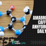 pamabrom vs caffeine anhydrous
