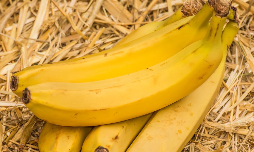 organic bananas benefits