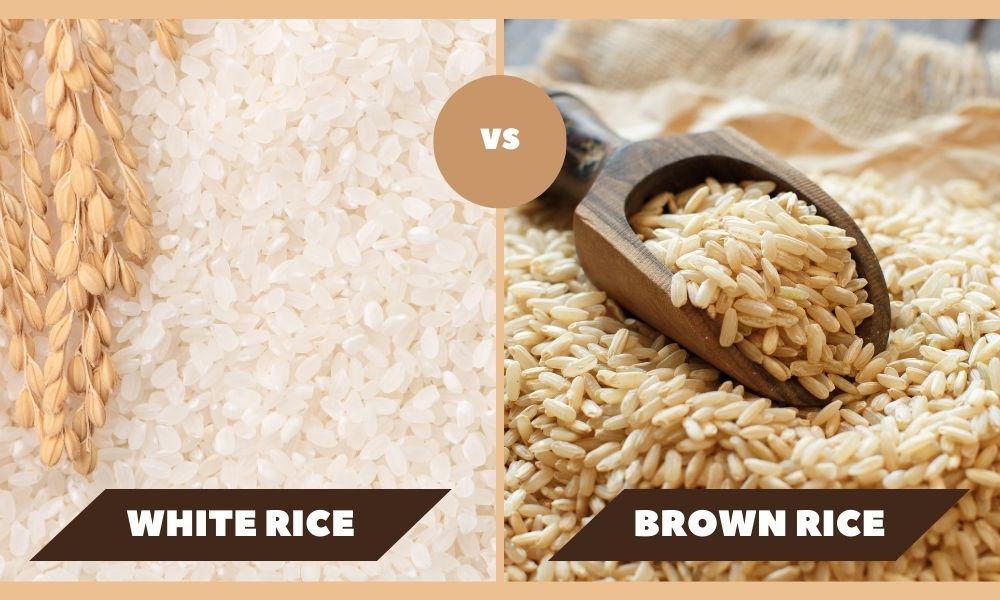 Brown Rice vs White Rice: Nutrition, Health Benefits, and Cooking Differences