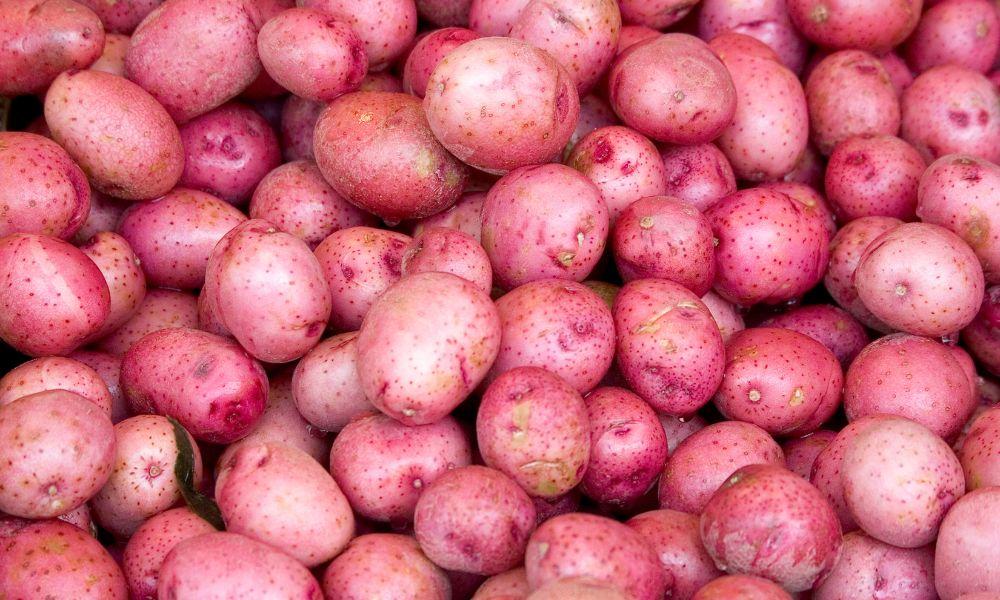 Natural or Enhanced: Are Red Potatoes Dyed?
