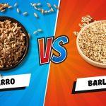 farro vs barley