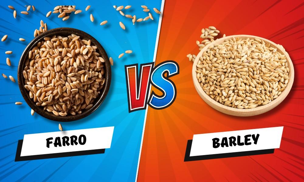 Farro vs Barley: Nutritional Benefits, and Sustainability