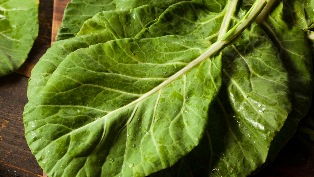 Mustard Greens vs. Collard Greens: Know the Difference Before You Cook 12