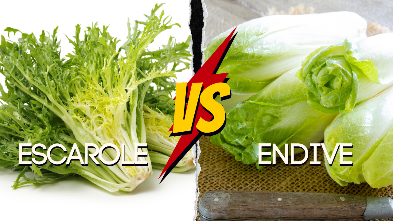 Escarole vs. Endive: Don’t Mix Up These Leafy Greens!