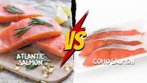 atlantic vs coho salmon