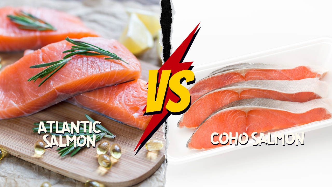 Choosing the Right Salmon: Atlantic vs. Coho