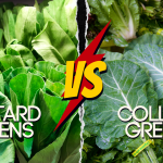 are mustard greens and collard greens the same