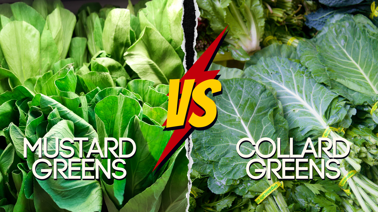 Mustard Greens vs. Collard Greens: Know the Difference Before You Cook