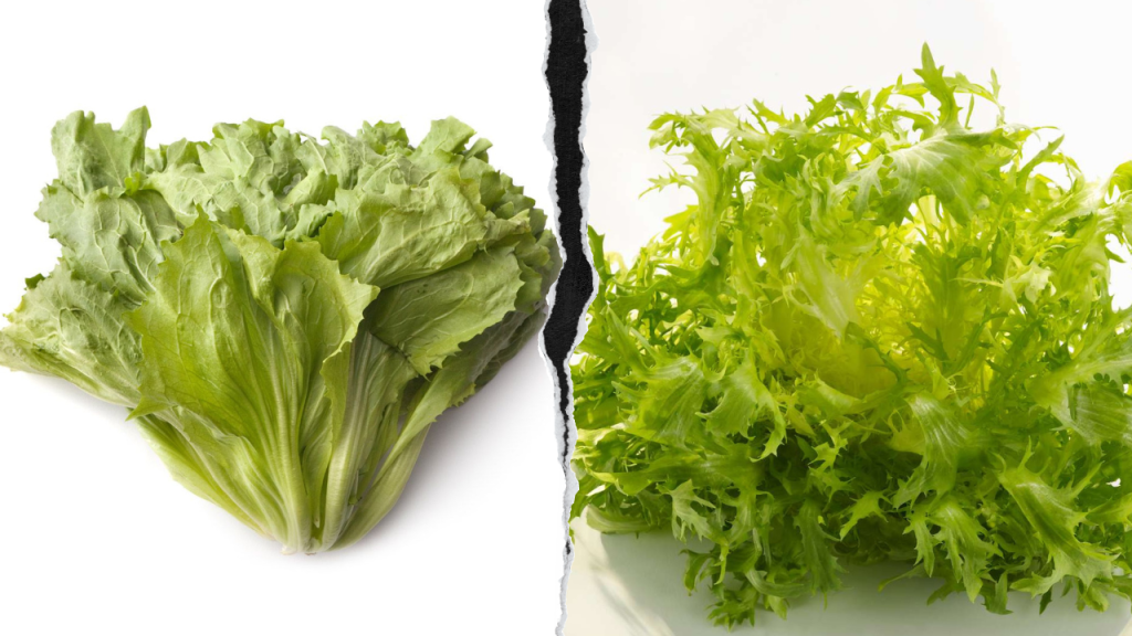 What Does Escarole Look Like? 1
