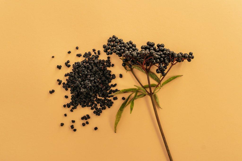 Dried elderberry. Immunity boosting for flu season. Black Elderberry