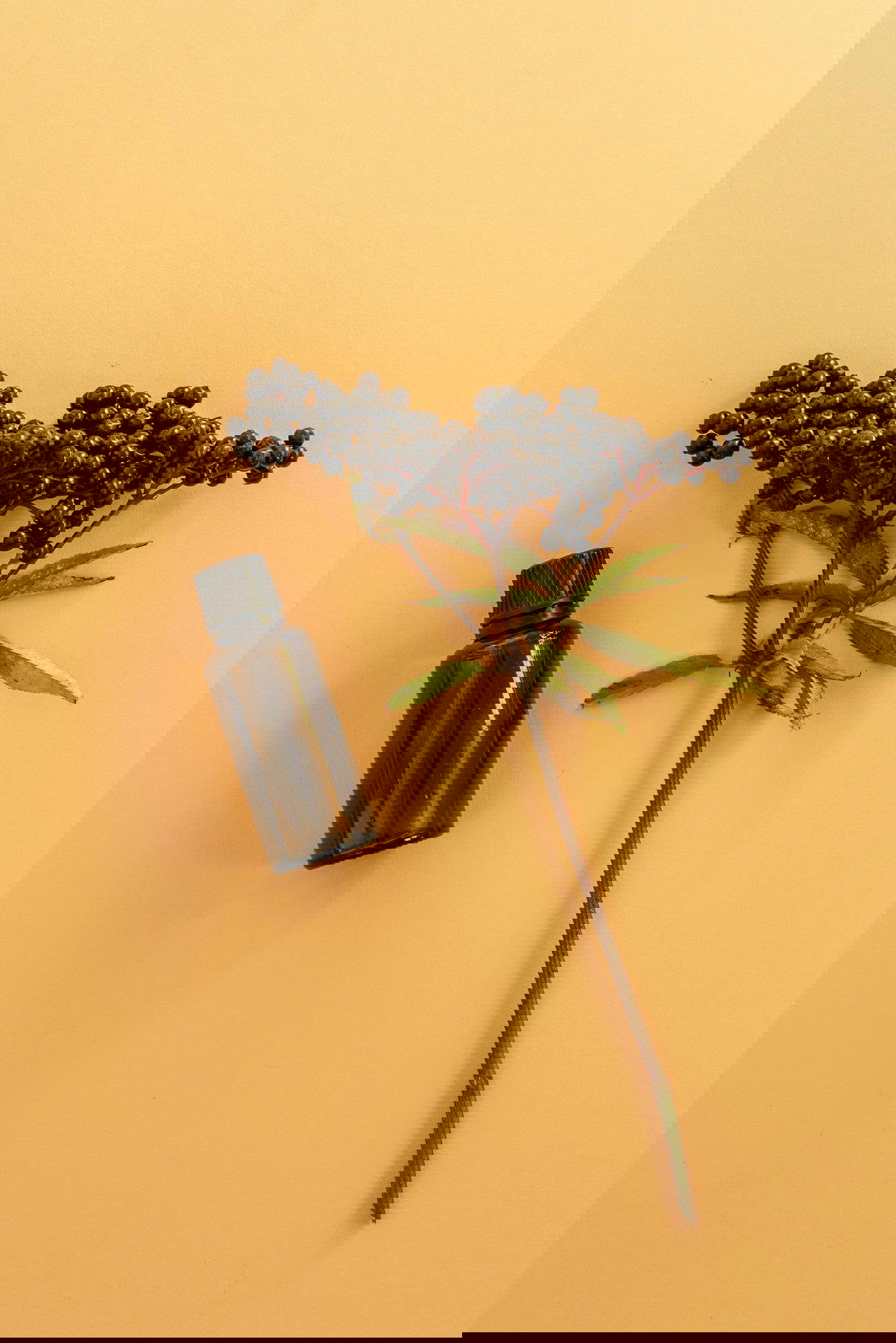 How Long Does Elderberry Syrup Last In The Fridge?