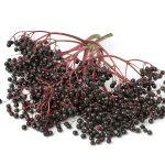 can elderberry syrup be frozen
