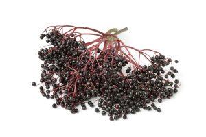 can elderberry syrup be frozen