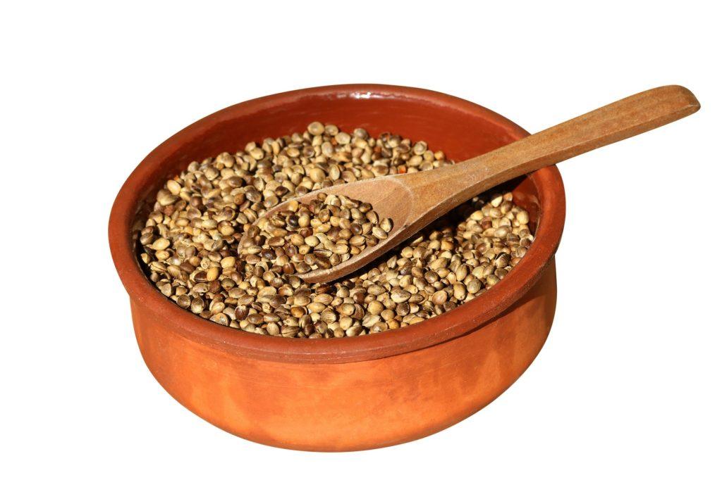 roasted hemp seeds in the plate